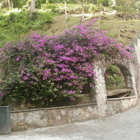 Boinin Heart Villa Soufrière Exteriér fotografie