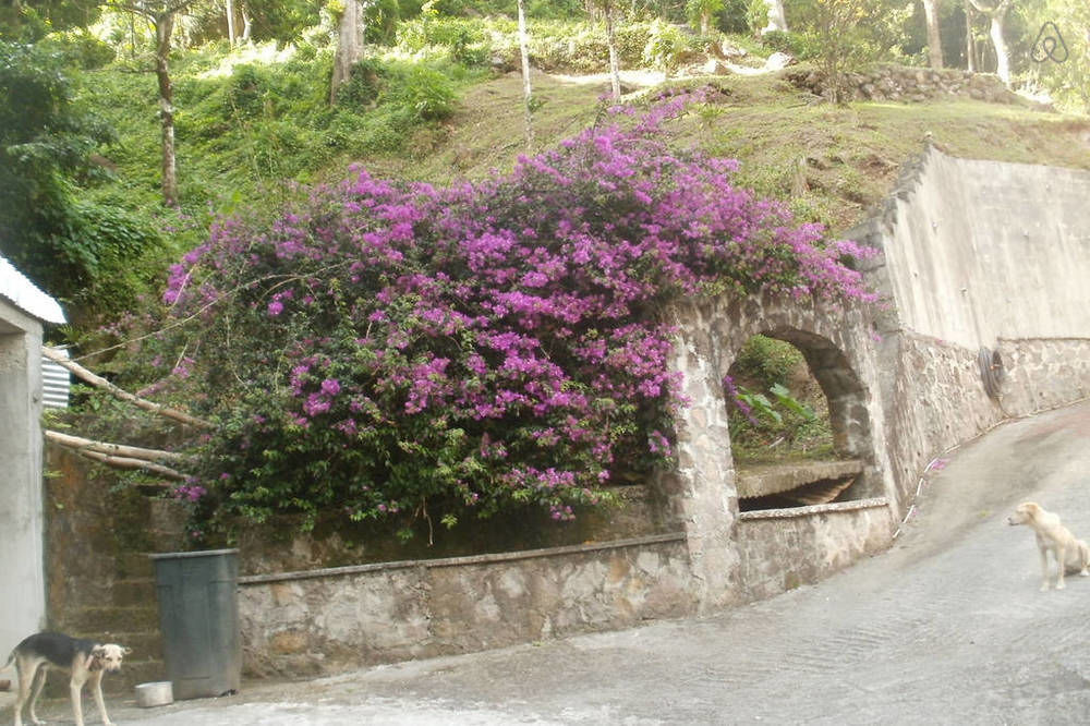 Boinin Heart Villa Soufrière Exteriér fotografie